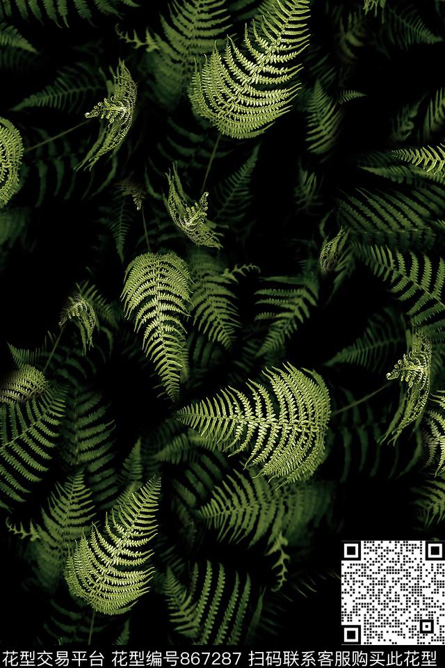 棕榈叶叶子热带数码印花华亿平台下载（图片编号: 867287） - 瓦栏（Walan）