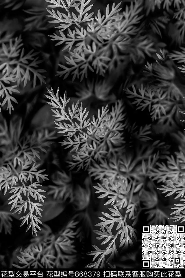 植物叶子风景数码印花华亿平台下载（图片编号: 868379） - 瓦栏（Walan）