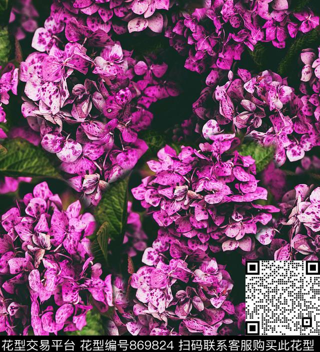 花卉满花绣球花数码印花华亿平台下载（图片编号: 869824） - 瓦栏（Walan）