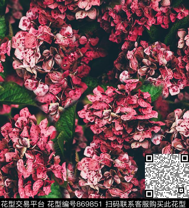 花卉满花绣球花数码印花华亿平台下载（图片编号: 869851） - 瓦栏（Walan）