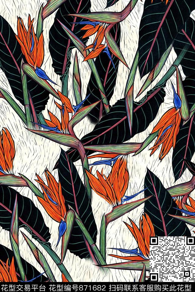 天堂鸟手绘花卉植物数码印花华亿平台下载（图片编号: 871682） - 瓦栏（Walan）