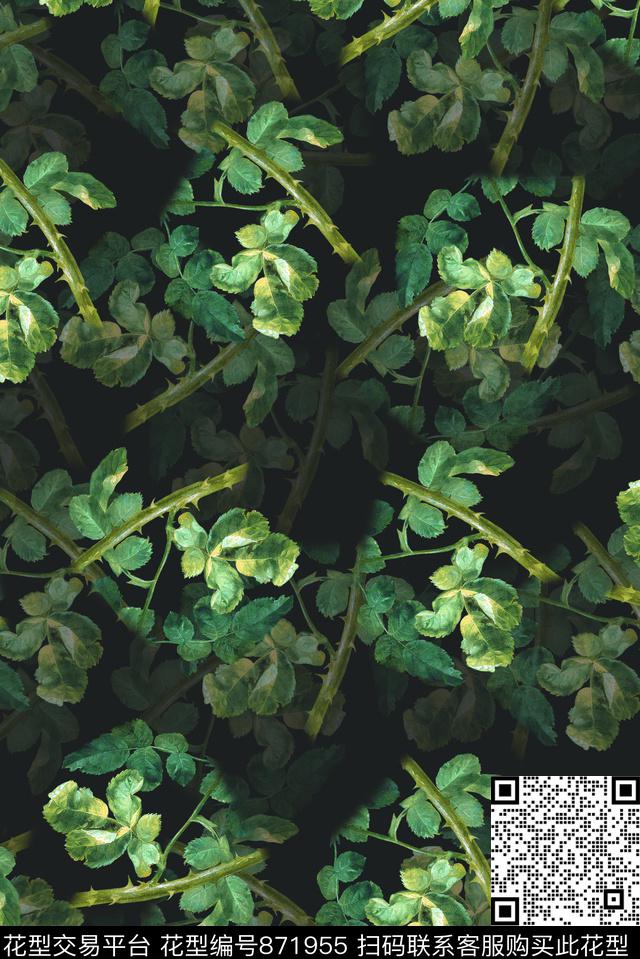 花卉女装树叶数码印花华亿平台下载（图片编号: 871955） - 瓦栏（Walan）