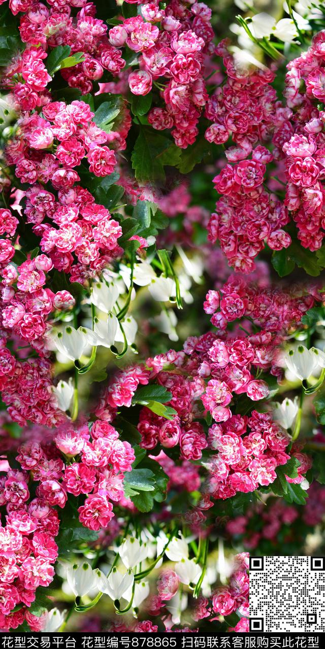 花朵花卉真花数码印花华亿平台下载（图片编号: 878865） - 瓦栏（Walan）