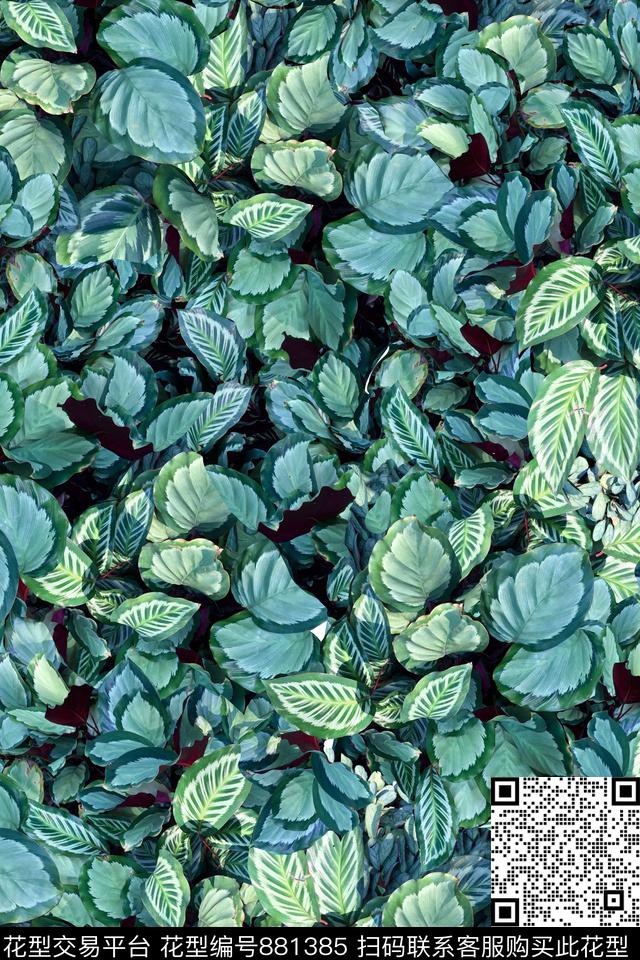 叶子绿色朝气休闲传统印花华亿平台下载（图片编号: 881385） - 瓦栏（Walan）