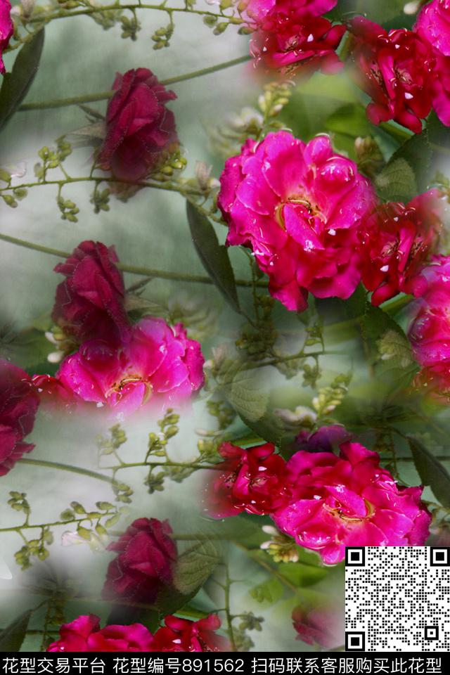 花卉花朵静怡数码印花华亿平台下载（图片编号: 891562） - 瓦栏（Walan）