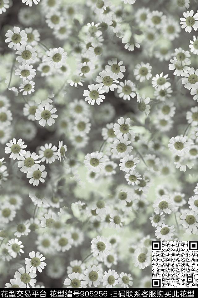 小雏菊菊花水墨风数码印花华亿平台下载（图片编号: 905256） - 瓦栏（Walan）