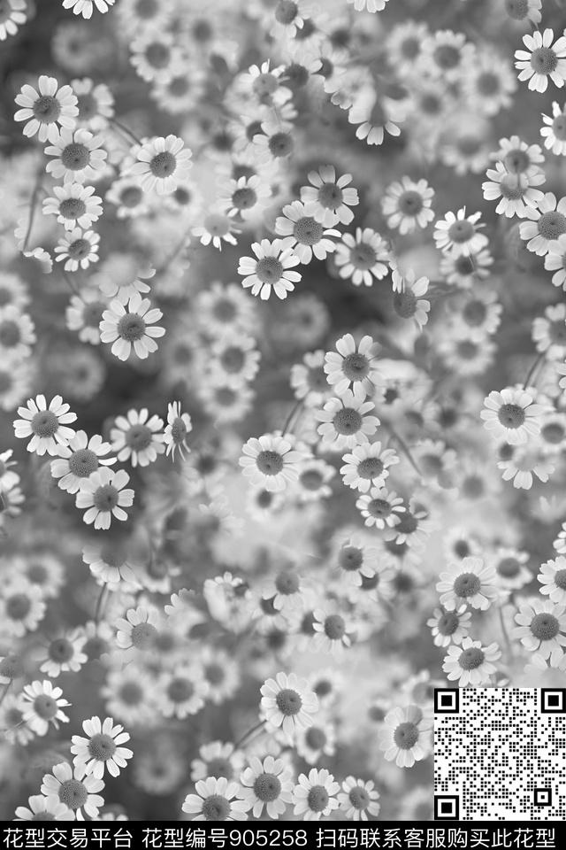 小雏菊菊花水墨风数码印花华亿平台下载（图片编号: 905258） - 瓦栏（Walan）