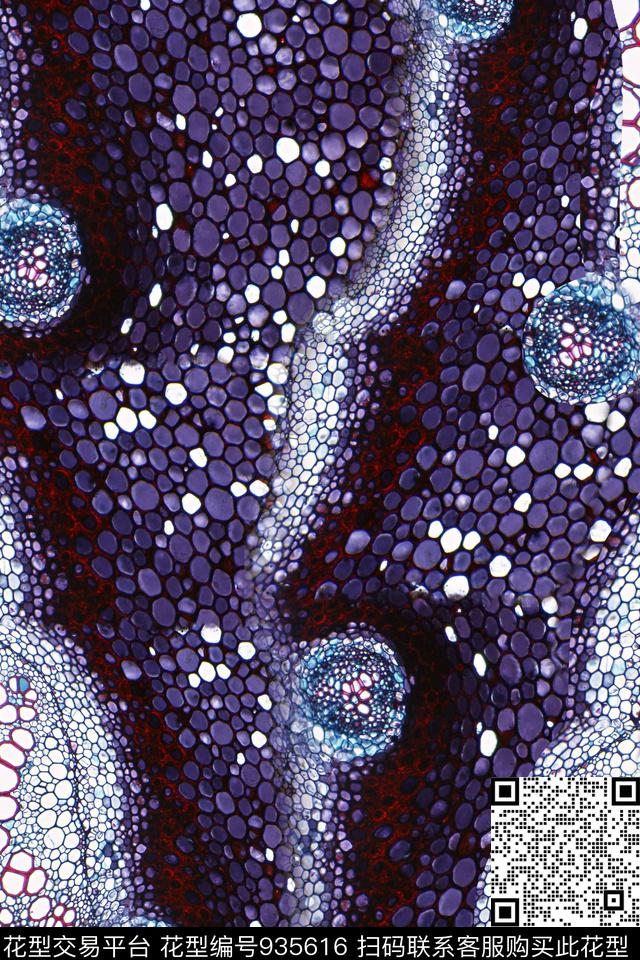 漩涡肌理炫彩数码印花华亿平台下载（图片编号: 935616） - 瓦栏（Walan）