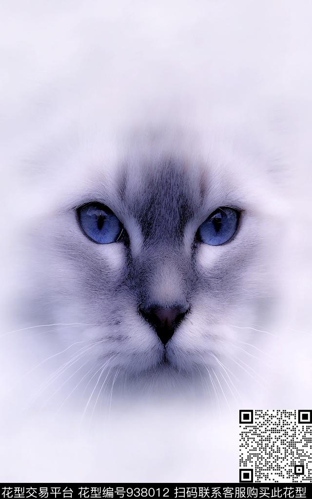 猫男装定位花数码印花华亿平台下载（图片编号: 938012） - 瓦栏（Walan）