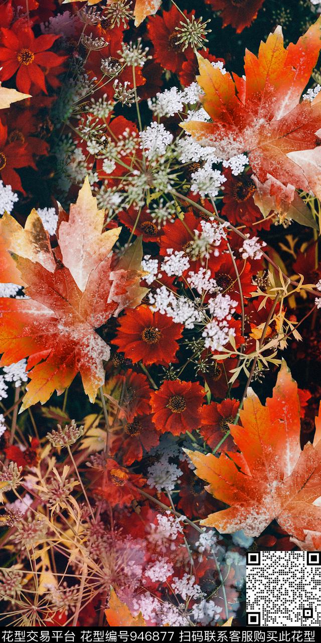 数码华亿平台照片花卉复古数码印花华亿平台下载（图片编号: 946877） - 瓦栏（Walan）