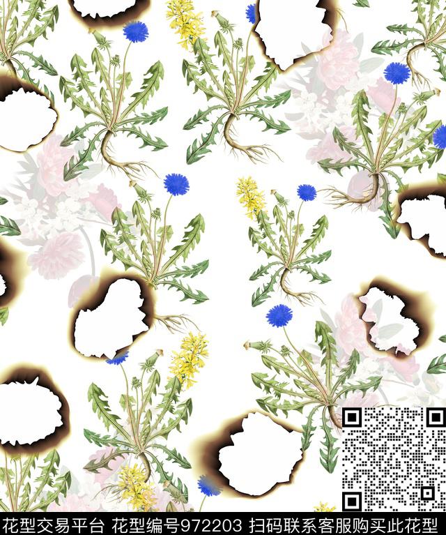 植物蒲公英水彩花卉数码印花华亿平台下载（图片编号: 972203） - 瓦栏（Walan）