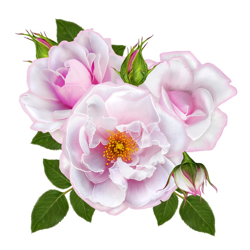 shutterstock_667948534