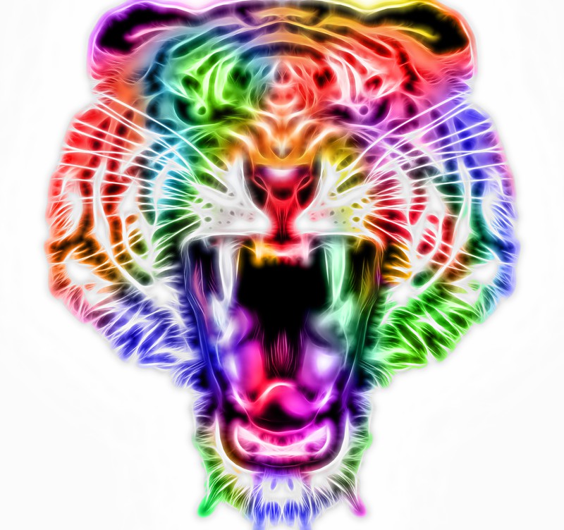tiger fractal