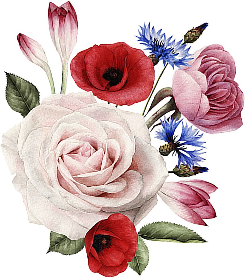 shutterstock_428505073 (1)