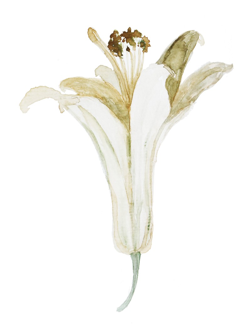 巴扎嘿素材 (43)