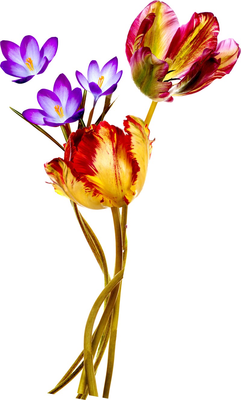 shutterstock_250173199