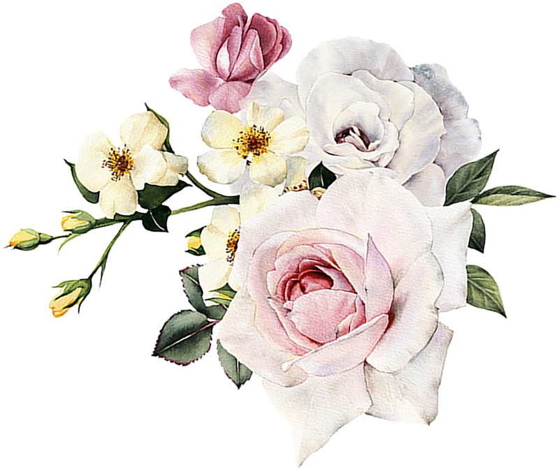 shutterstock_541782715