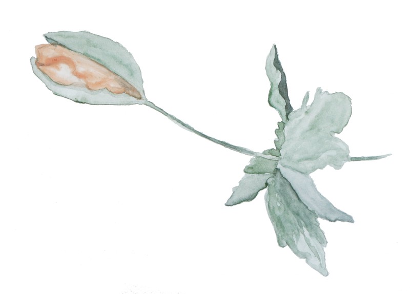 巴扎嘿素材 (41)