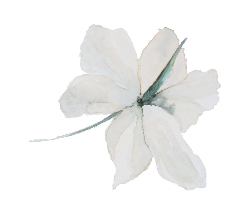 巴扎嘿素材 (42)