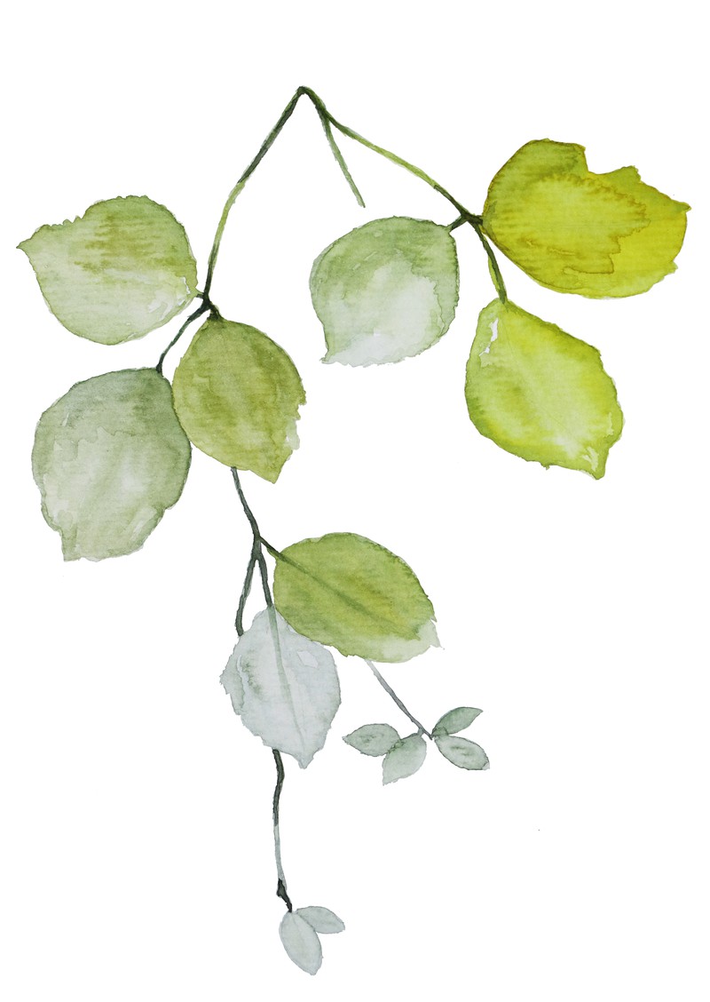 巴扎嘿素材 (47)