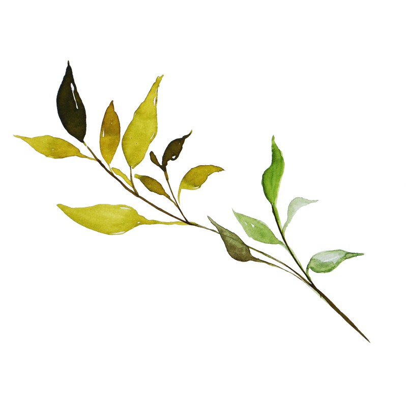 巴扎嘿素材 (63)