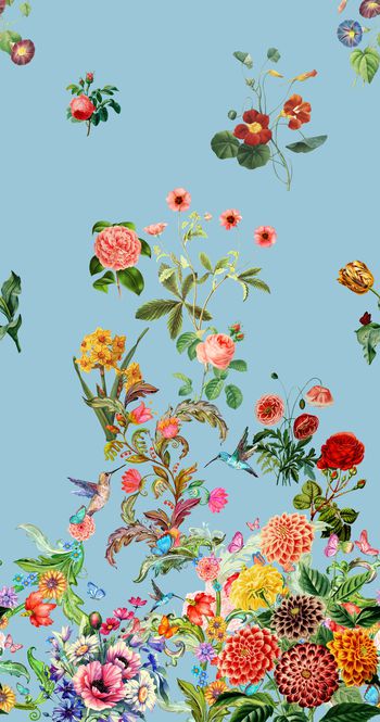 1001386-th2017098061-3