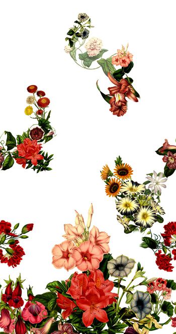 1001397-th2017098097-2