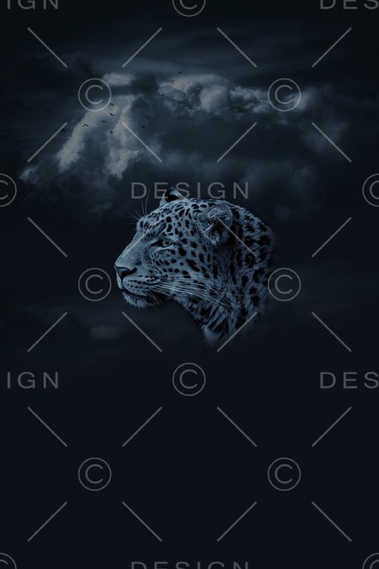 男装印花华亿平台图片