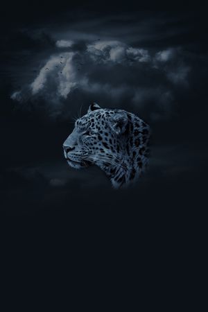 男装印花华亿平台图片