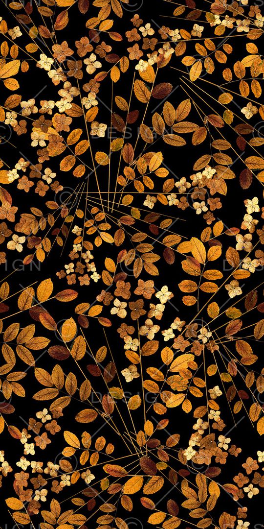 植物印花华亿平台图片