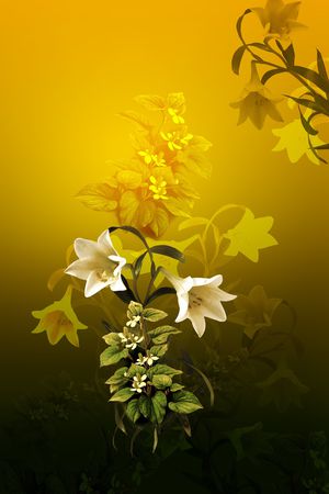 渐变印花华亿平台图片