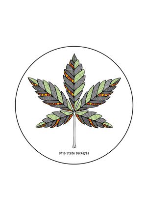 动物印花华亿平台图片