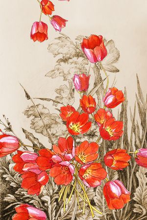 大花印花华亿平台图片