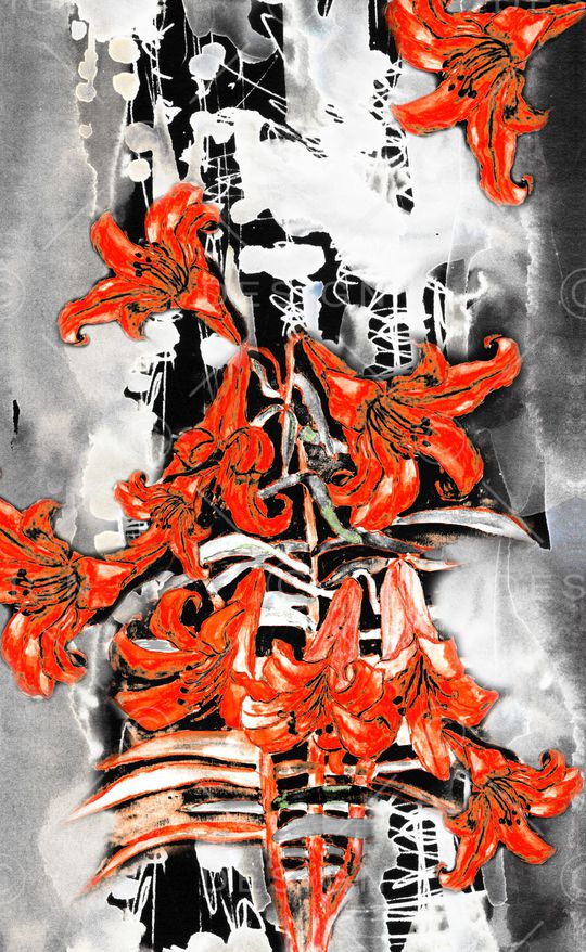 数码华亿平台印花华亿平台图片