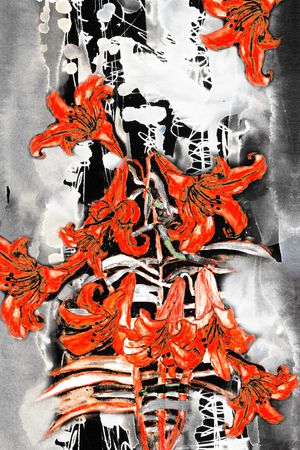 数码华亿平台印花华亿平台图片