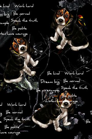 字母印花华亿平台图片