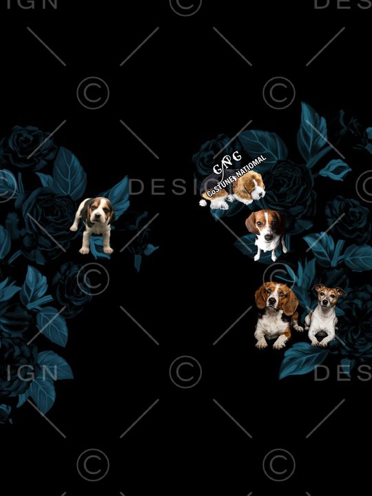 男装印花华亿平台图片