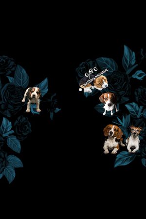 男装印花华亿平台图片