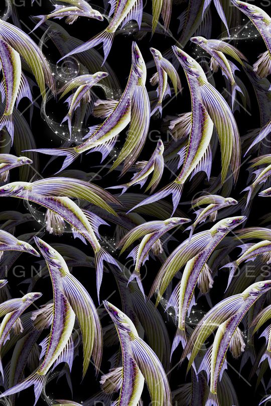 动物印花华亿平台图片