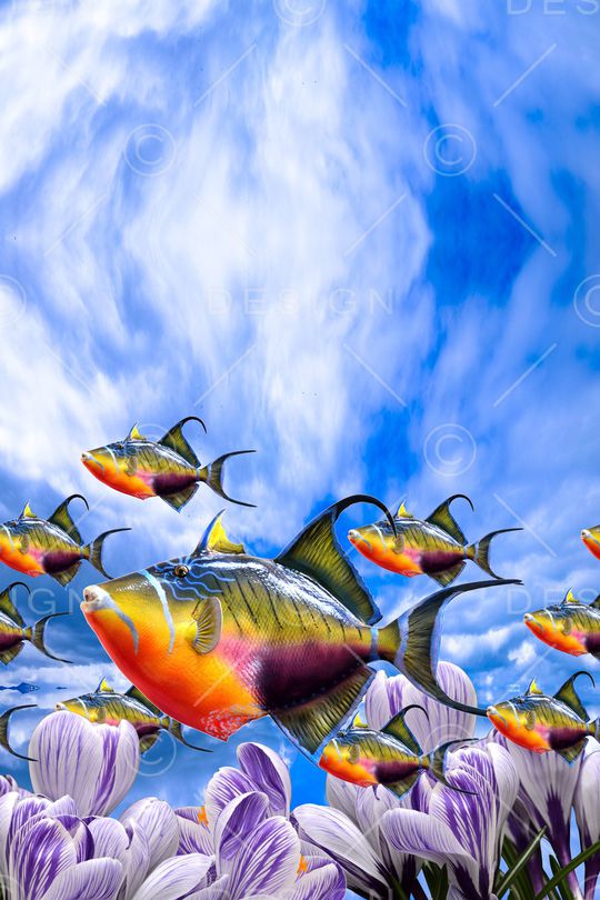 兰花印花华亿平台图片