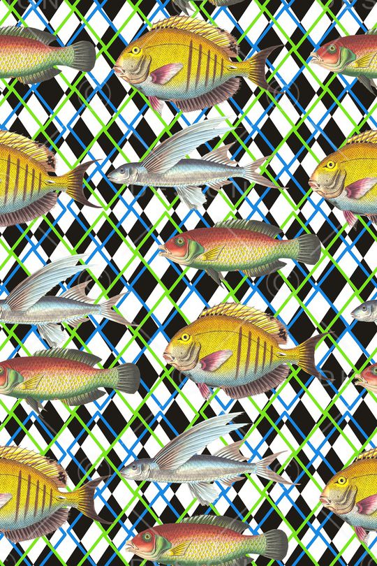 鱼类印花华亿平台图片