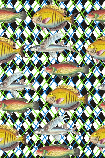 鱼类印花华亿平台图片