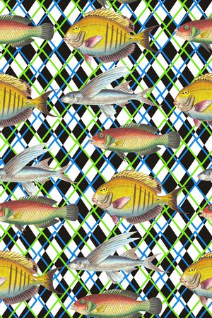 鱼类印花华亿平台图片