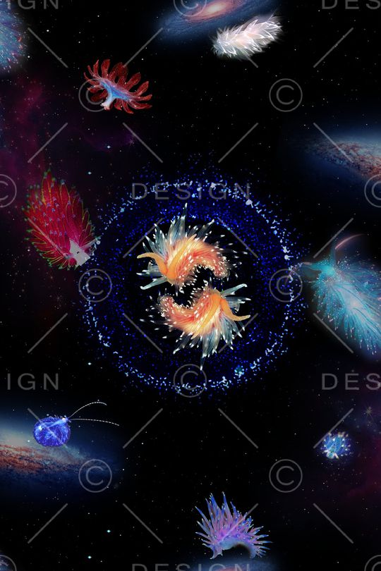 星空印花华亿平台图片