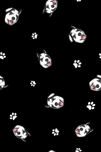 1006900-2018卡通萌宠小哈配色