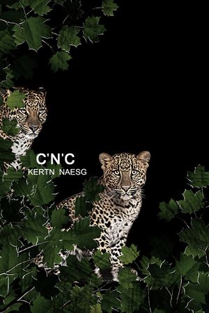 潮牌印花华亿平台图片