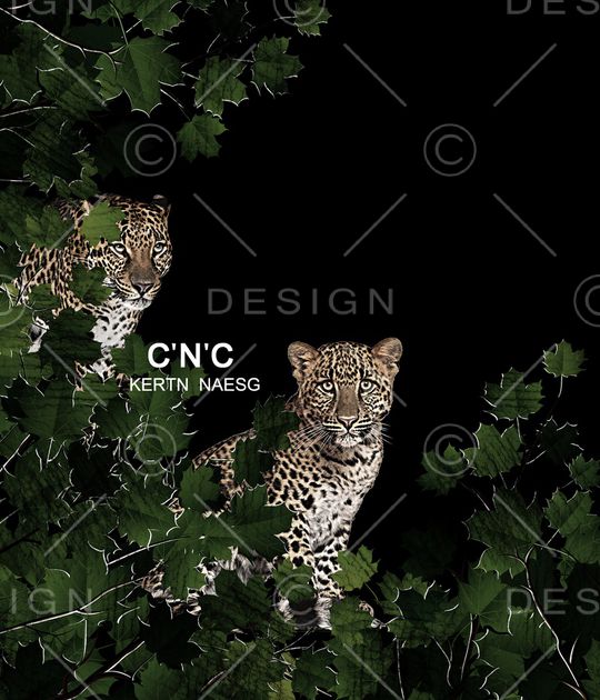 潮牌印花华亿平台图片