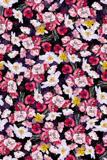 手绘玫瑰印花华亿平台图片