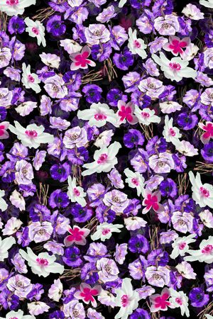 手绘玫瑰印花华亿平台图片