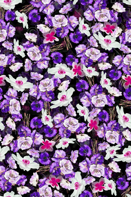 手绘玫瑰印花华亿平台图片